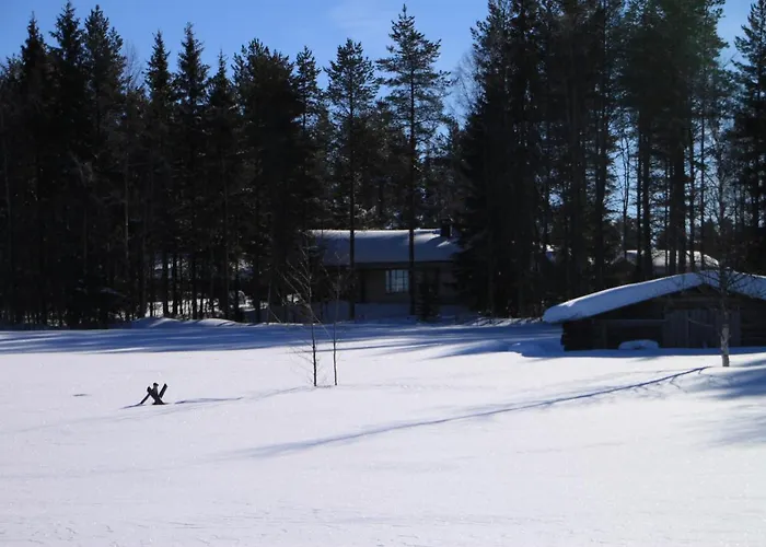 Niemen Lomat 度假居 库萨莫