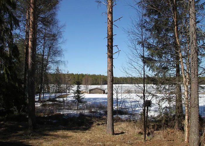 度假居 Niemen Lomat *